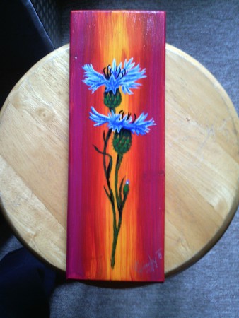 Bachelors Button - verkauft